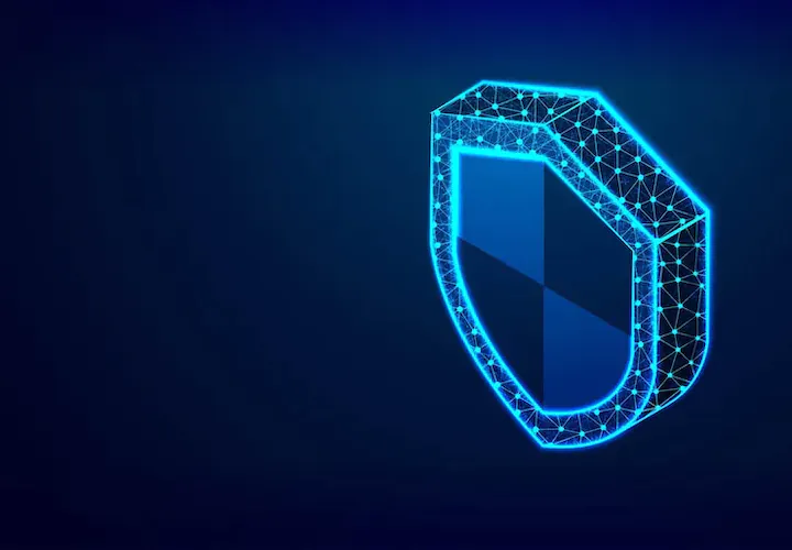 100% Safe & Secure